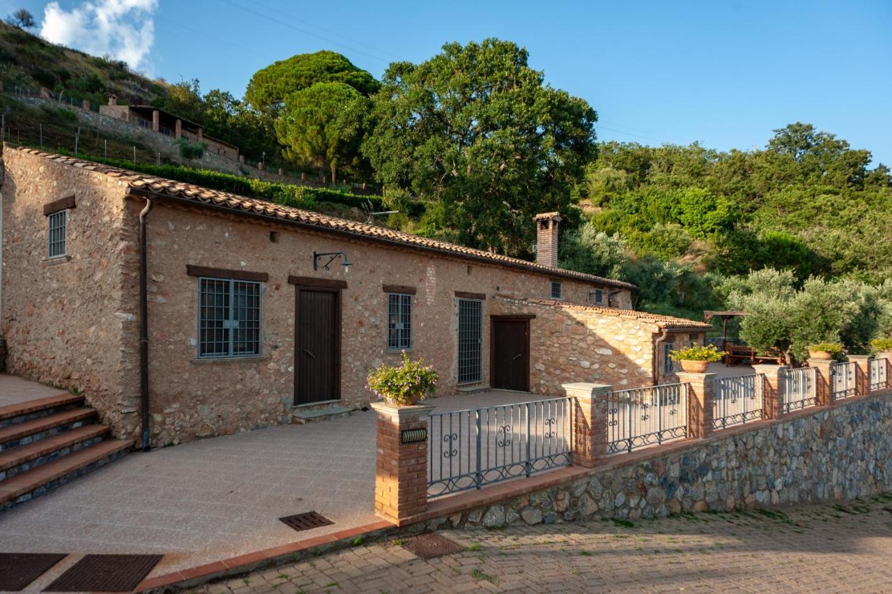Azienda Agrituristica Le Terre Di San Leonardo Cetraro Ngoại thất bức ảnh